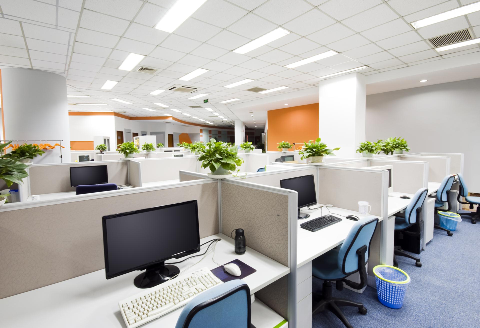 Local Commercial Cleaning In Campbelltown